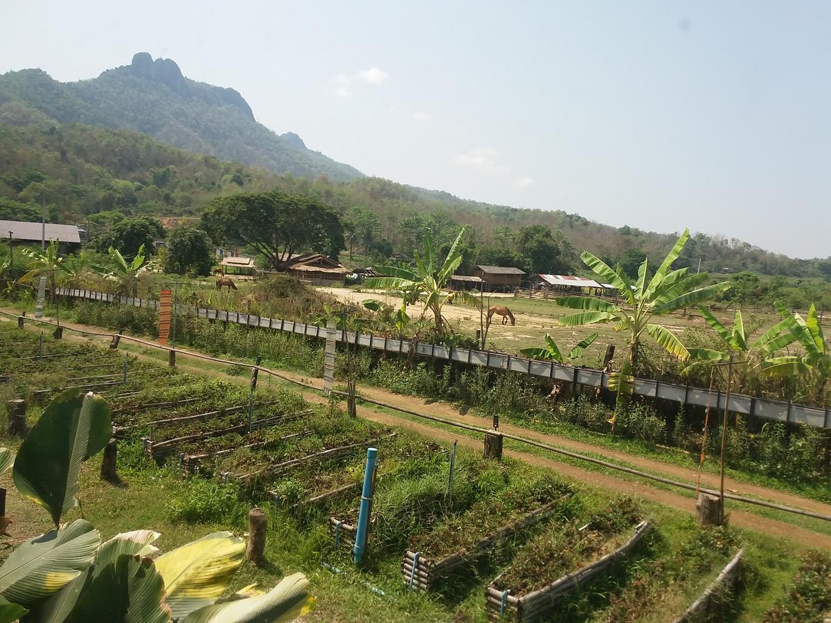 Him Doy Muang Pan Resort ฮิมดอยเมืองปานรีสอร์ท Ban Sop Pan Dış mekan fotoğraf